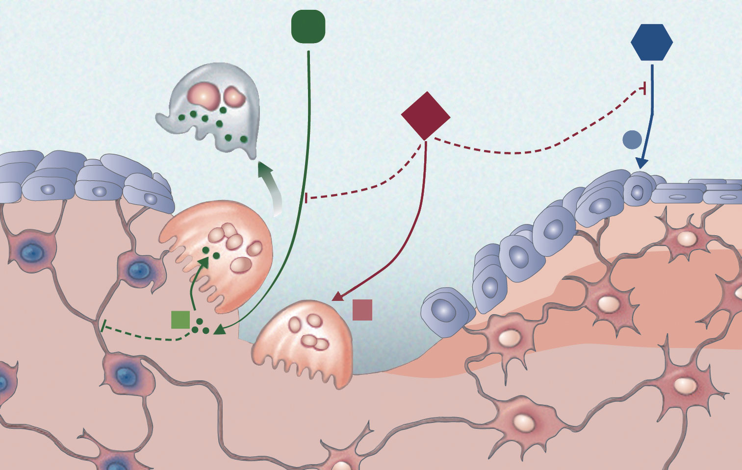 beat365亚洲体育官方网站_遮瑕膏怎么用具体步骤 打造无瑕美肌小窍门戳进来(图3) beat·365