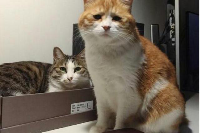 DNF夏日海底寻宝玩法攻略 升级装备是关键|beat365亚洲体育官方网站(图2) beat365官网