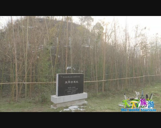 beat365官网:什么季节最适合植头发 一年四季植头发没问题(图2) beat365亚洲体育官方网站