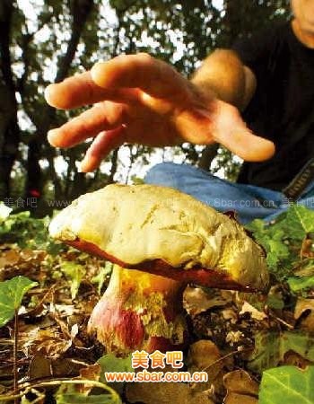 beat365亚洲体育官方网站