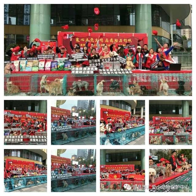 初恋短发发型 来看一下哪一款发型更加适合你吧‘beat365亚洲体育官方网站’