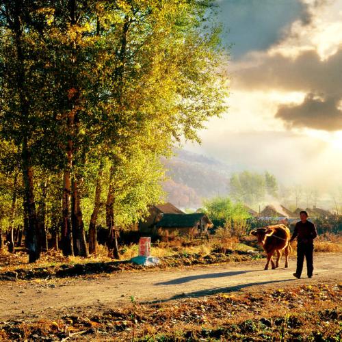 beat365亚洲体育官方网站