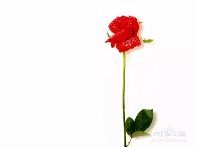 【beat365官网】市卫生健康委督查组到我县督查打击非法行医专项行动工作(图2) beat·365