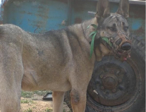 钟山县总工会开展第四季度反邪教宣传活动_beat·365(图2) beat·365