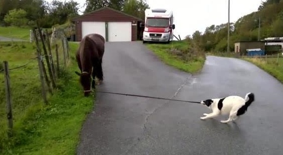 beat365亚洲体育官方网站