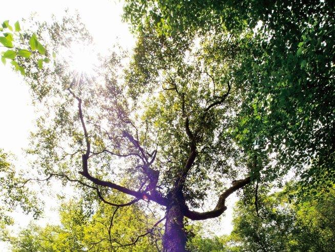 beat365亚洲体育官方网站_专家解答产科最常见的6个问题(图3) beat·365