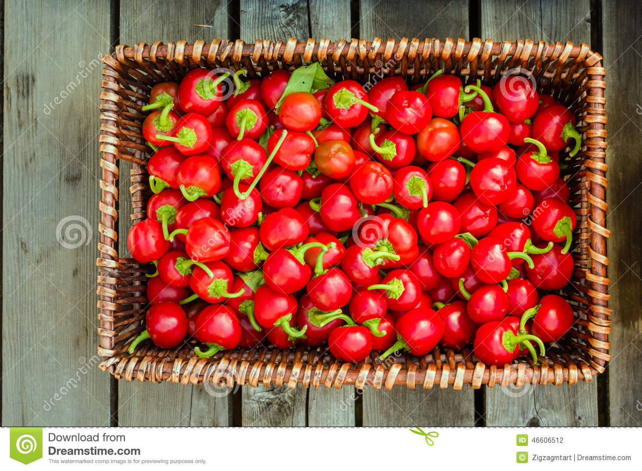 自治区财政厅领导到我县开展脱贫攻坚工作调研_beat365亚洲体育官方网站(图1) beat·365