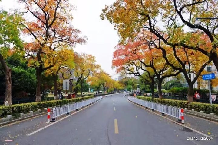 交通事故起纠纷 智慧调解促和谐_beat·365(图1) beat365官网