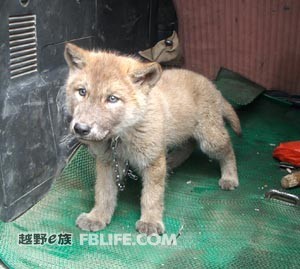 吴小娟一行到我县推进会现场点参观“儿童之家”和妇女儿童活动中心“beat·365”