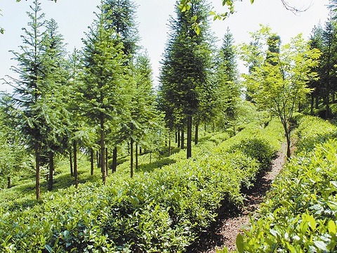 羽绒服怎么洗 羽绒服应该怎样洗最好呢？|beat·365