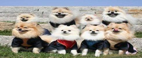 
回归即登顶！脑力继承《最强大脑》第八季如何领跑开年综艺收视？“beat365亚洲体育官方网站”