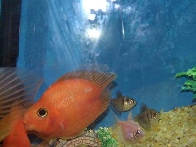 beat365亚洲体育官方网站