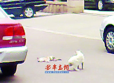 深入学习贯彻习近平总书记关于扶贫工作重要论述 坚决打好打赢脱贫攻坚战|beat365官网(图2) beat365亚洲体育官方网站