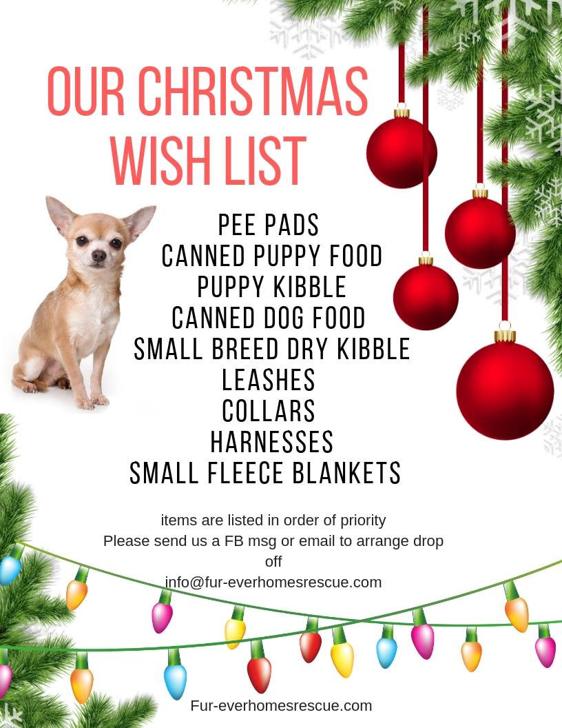 项羽超神我信，廉颇超神我也信，若他能超神，我直播吃一年窝窝头-beat·365