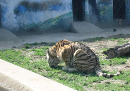 beat365亚洲体育官方网站