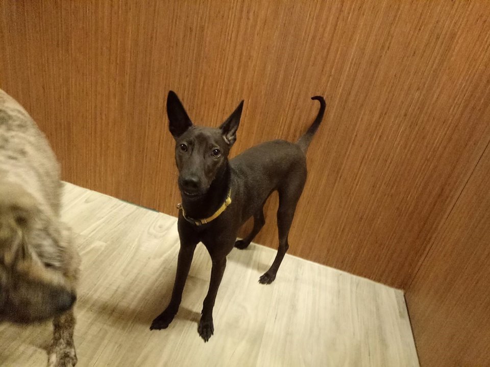 喜力子公司Athenian Brewery接受调查【beat·365】(图2) beat365官网