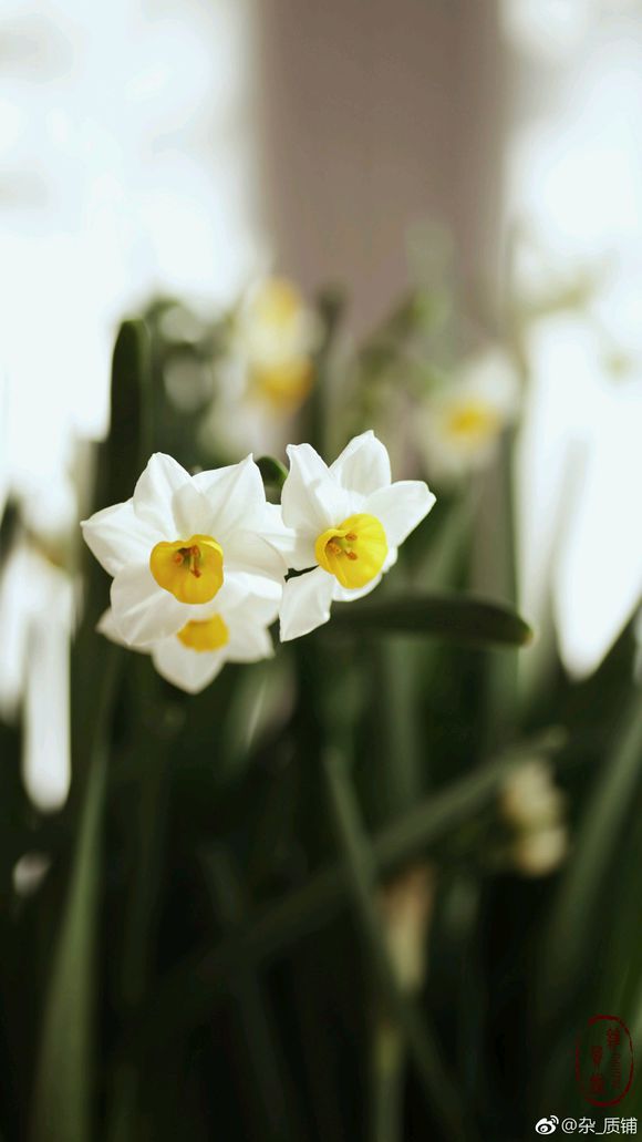 “beat·365”钟山56名种植大户参加测土配方施肥技术集中“充电”(图3) beat365官网