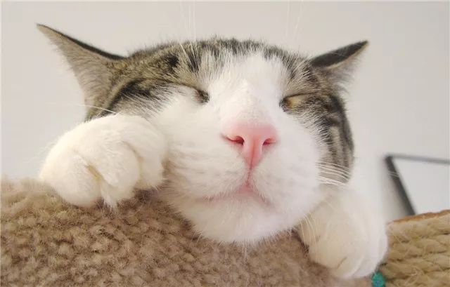 beat365亚洲体育官方网站