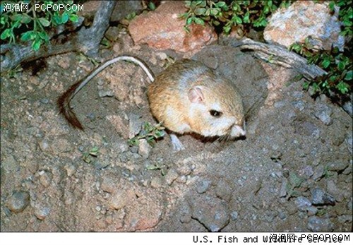 钟山中学举行2019年“书香溢校园 阅读促成长”系列活动之“进入新时代 改革开新篇”演讲比赛【beat365官网】(图1) beat·365