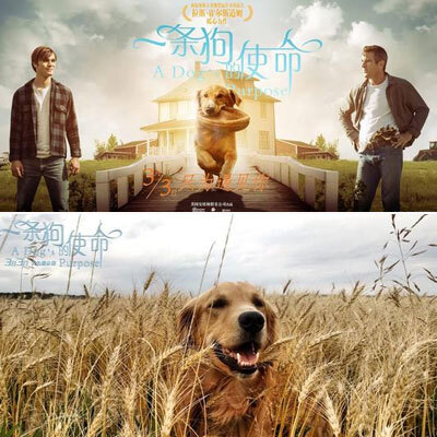 两安瑶族乡中心小学举行“红领巾心向党,争做新时代好队员”主题建队日活动“beat·365”(图3) beat365亚洲体育官方网站