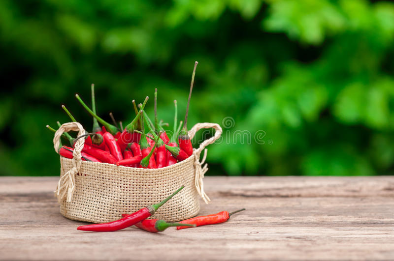 县审计局召开2019年“四卡一册一牌”对照检查培训会【beat365官网】(图1) beat365官网