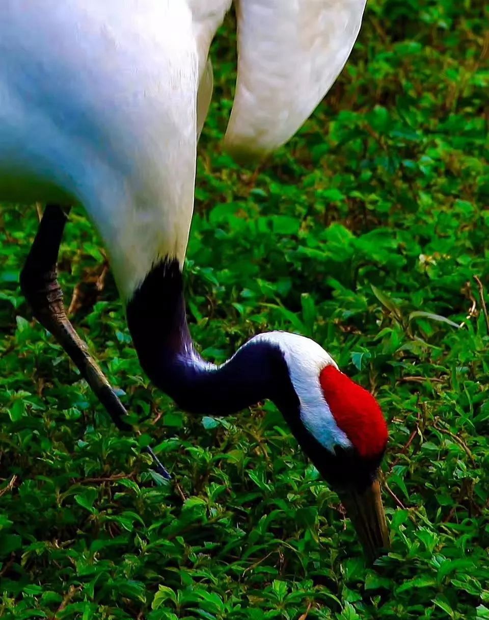 beat365亚洲体育官方网站