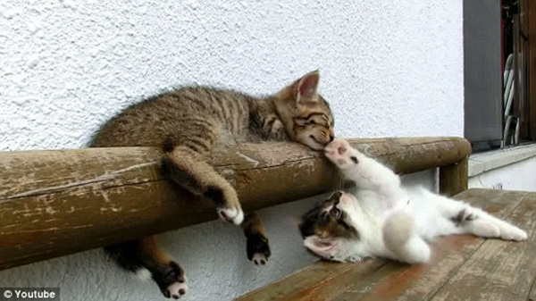 beat365亚洲体育官方网站