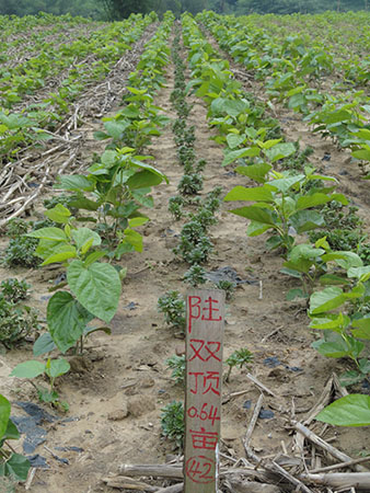 钟山县统计局开展“不忘初心、牢记使命”主题党日活动“beat365亚洲体育官方网站”(图1) beat·365