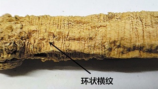 网红八字刘海如何自己打造“beat365亚洲体育官方网站”(图2) beat365亚洲体育官方网站