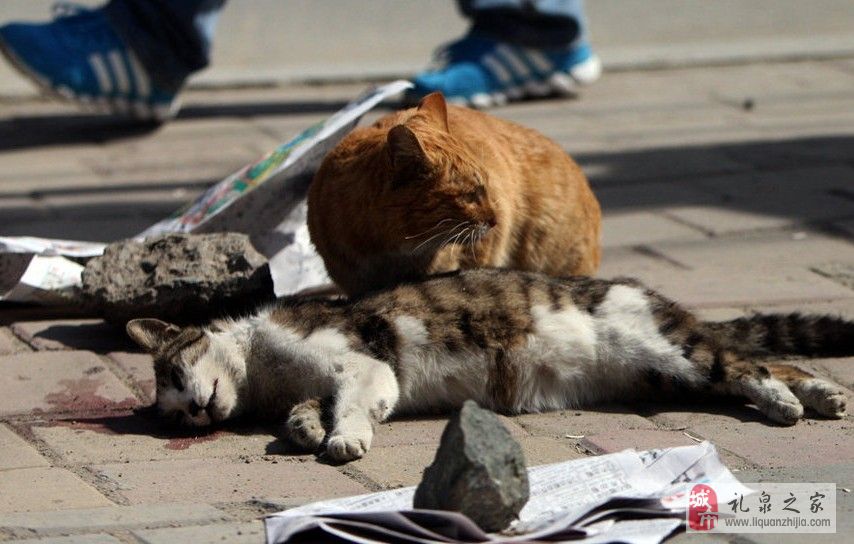 怎么防止宫颈糜烂发生-beat365官网(图2) beat365亚洲体育官方网站