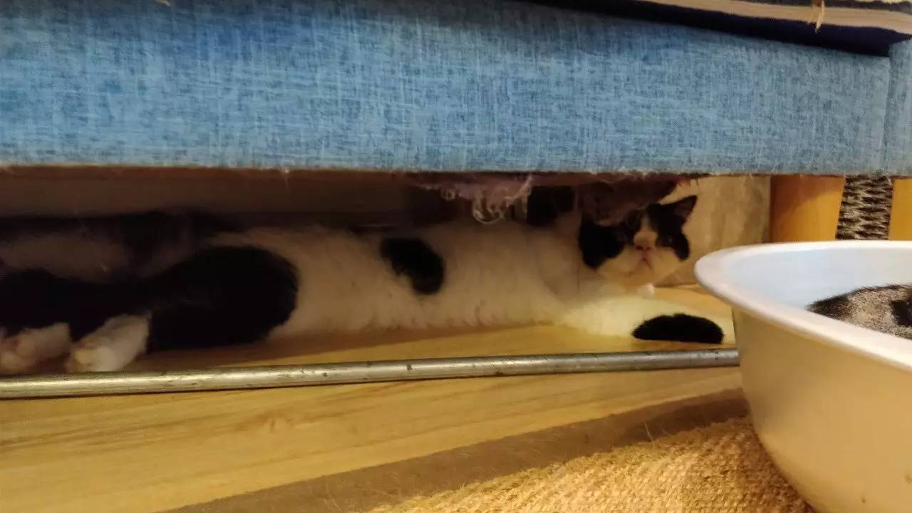 beat365亚洲体育官方网站