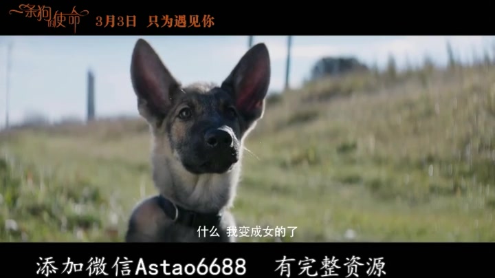 【beat365亚洲体育官方网站】游戏史上最搞笑事件!自己抄袭外洋游戏没火,还去离别人抄它!(图3) beat365官网