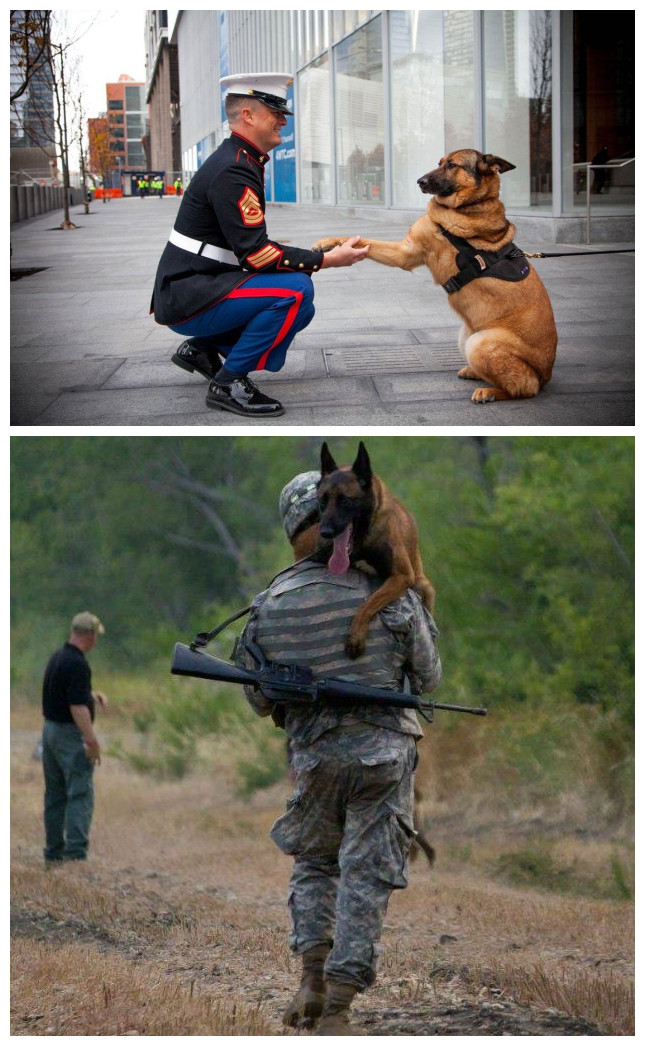 beat·365:王者荣耀:看着简单实际玩不好的几位英雄,铠皇委屈了,黄忠太搞笑(图3) beat·365