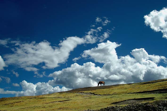 beat365官网_LCK冒泡赛对阵出炉 胜者将获S9入围赛资格(图1) beat·365