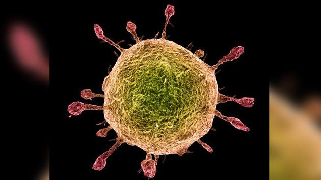 痛经防治 应饮食均衡-beat365亚洲体育官方网站(图1) beat365官网